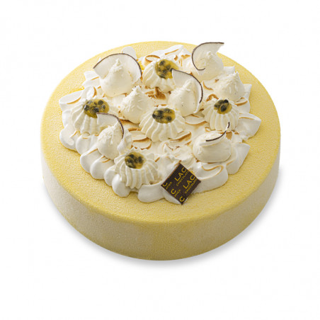 Entremet glacé exotique